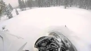 Powder fever