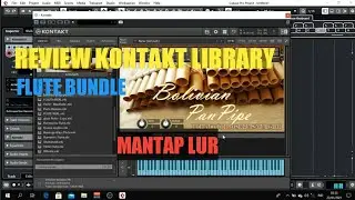 review flutes kontakt library