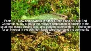 Green Pond, New Jersey Top  #14 Facts
