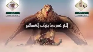 شيلة الحر عمرة مايهاب العصافير كلمات هزاع ليلي الساري اداء {الزلزال} راضي العطيفي