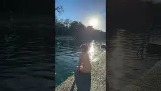 Barton Springs Pool, Austin, Texas