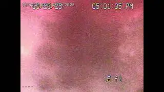 2832 Exposition Blvd. Video #1