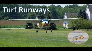 Turf Runway Essentials
