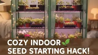 My Mini Greenhouse Set Up for Indoor Seed Starting