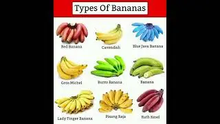 Types of banana #banana #yellowfood #food #healthyfood  #vocabulary