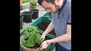 Derwen College - Horticulture Department