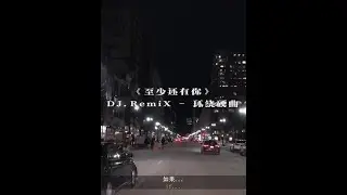 DJ REMIX 慢搖神曲 - 至少还有你