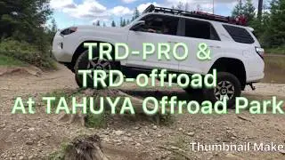 TRD PRO & TRD OFFROAD PREMIUM AT TAHUYA OFFROAD PARK