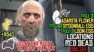 RED DEAD ONLINE Agarita Flower CYCLE 3 Loon Egg & Spoonbill Egg CYCLE 3 Locations