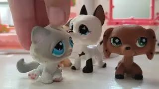 LPS: Dare Squad! #1