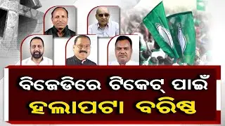ବିଜେଡିରେ ଟିକେଟ୍ ପାଇଁ ହଲାପଟା ବରିଷ୍ଠ | BJD Faces Ticket Distribution Dispute | Odisha Reporter