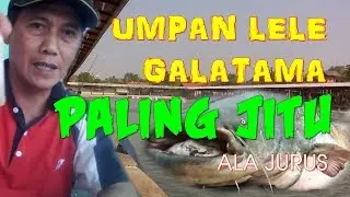 UMPAN LELE GALATAMA , TOTAL & INDUK STRIK 8,20kg Juara I