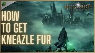 Hogwarts Legacy How to get Kneazle Fur