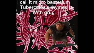 Ryghms with grug
