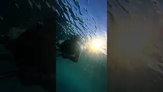Мир без звука &ndash; Атлантический океан изнутри 🌊 #подводный #атлантический #мирный #океан