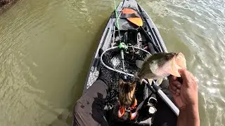 Pre Spawn Bass Fishing | Special Fishing Companion!!