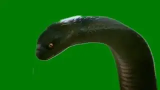 Naggin 3 | Vikrant snake | on green screen | by Coblin vfx studio