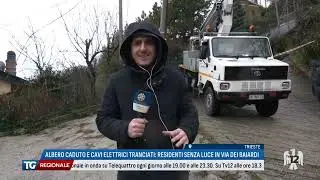 TG REGIONALE | 01/02/2026