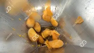 Mango Pulp Machine In Pakistan