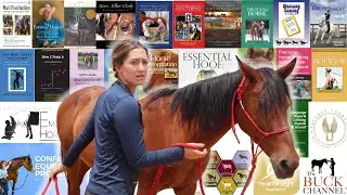 Confused to Confident Equestrian | My equestrian journey 👩🏼&zwj;🎓