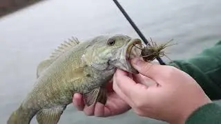 Oklahoma Bass Fishing Drone Footage | Lucky Lure Tackle on Lake Tenkiller