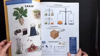 Мой первый школьный проект. Издательство Клевер