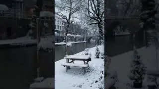 Amsterdam 😍😍#amsterdam #netherlands #snowfall #nature