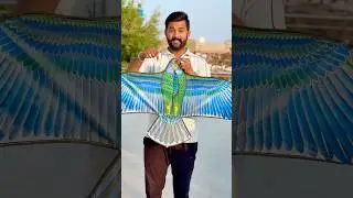 Flying Eagle Kite(पतंग)🪁#kite #patang #patangbazi