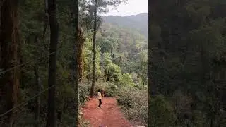 Adventure Sports Zipline Kerala Video Short #zipline #kerelatourism