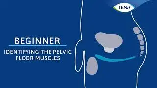 02 - identifying the Pelvic Floor Muscles - Mens BEGINNER Pelvic Floor EXERCISE