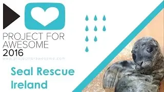 Project 4 Awesome 2016 - Seal Rescue Ireland