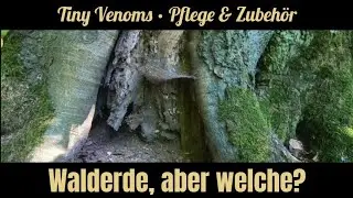 Walderde für Terrarien.. Aber welche?  |  Für Schlangen . Vogelspinnen . Terraristik