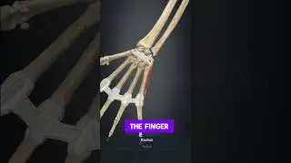 🎶 Musicians&rsquo; Hand Health Spotlight 🎶