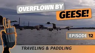Overflown by GEESE while kayaking in Helsinki with Itiwit X500 [Traveling & Paddling #12]
