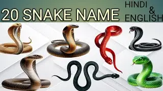 20 साँपो के नाम | 20 Snakes Name in Hindi & English 🐍 | Kids Learning | Trashu Play Kids TV