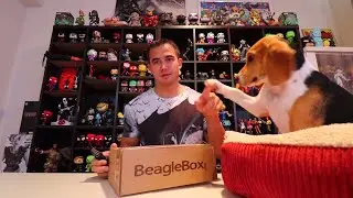 Beagle Box Unboxing! | September 2017 | Best Dog Subscription Box!?