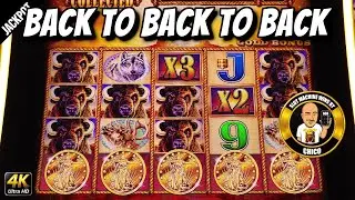 MUST SEE! Back To Back To Back JACKPOT HANDPAYS on Buffalo Gold Slot Machines