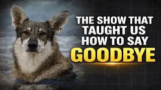 The Littlest Hobo: The Show That Taught Us How to Let Go