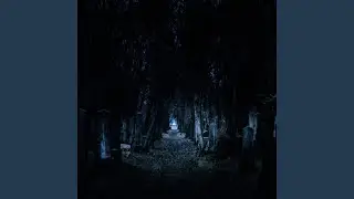 Ｂａｃｋｒｏｏｍｓ　Ｌｅｖｅｌ　－　２００