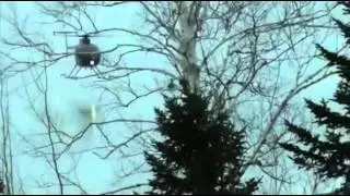 Helicopter Rescues Deer From Frozen Lake