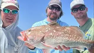 Best Lure For Reef Fishing (ONE Lure Caught TEN Species!!!)