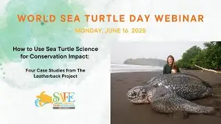Callie Veelenturf, World Sea Turtle Day 2025 Live Expert Webinar