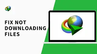 How to Fix IDM Not Downloading Files