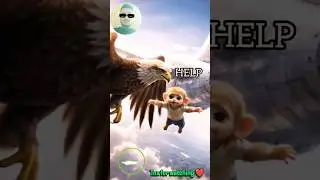 &ldquo;The Eagle Who Saved a Baby Monkey 🦅🐒&rdquo;#Gazab ai stories #ai#animals