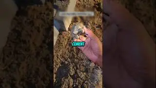 Его сердце чуть не разорвалось после этого 😥 @adrian_peru #shortsviral #tortoise #kylokpi