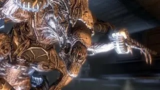 Wiki Aliens : La Matriarche