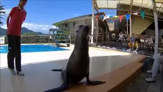 AWASHIMA MARINE PARK 1