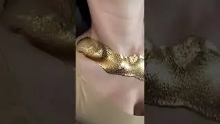 Satisfying? Gold Makeup for Creative Photoshoot by Lana Chromium