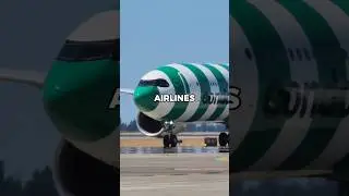 why airlines don't want the Airbus a330 neo