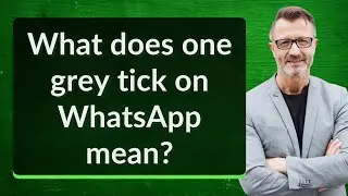 What does one grey tick on WhatsApp mean?